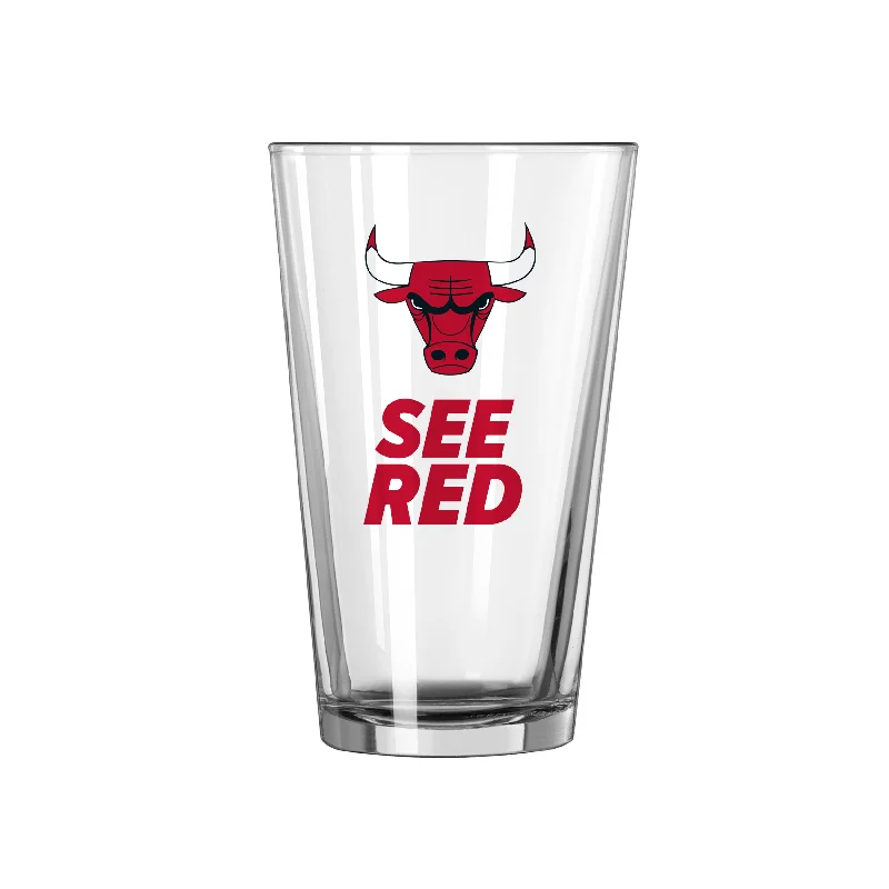 Team Mug New Year-Chicago Bulls 16oz Slogan Pint Glass